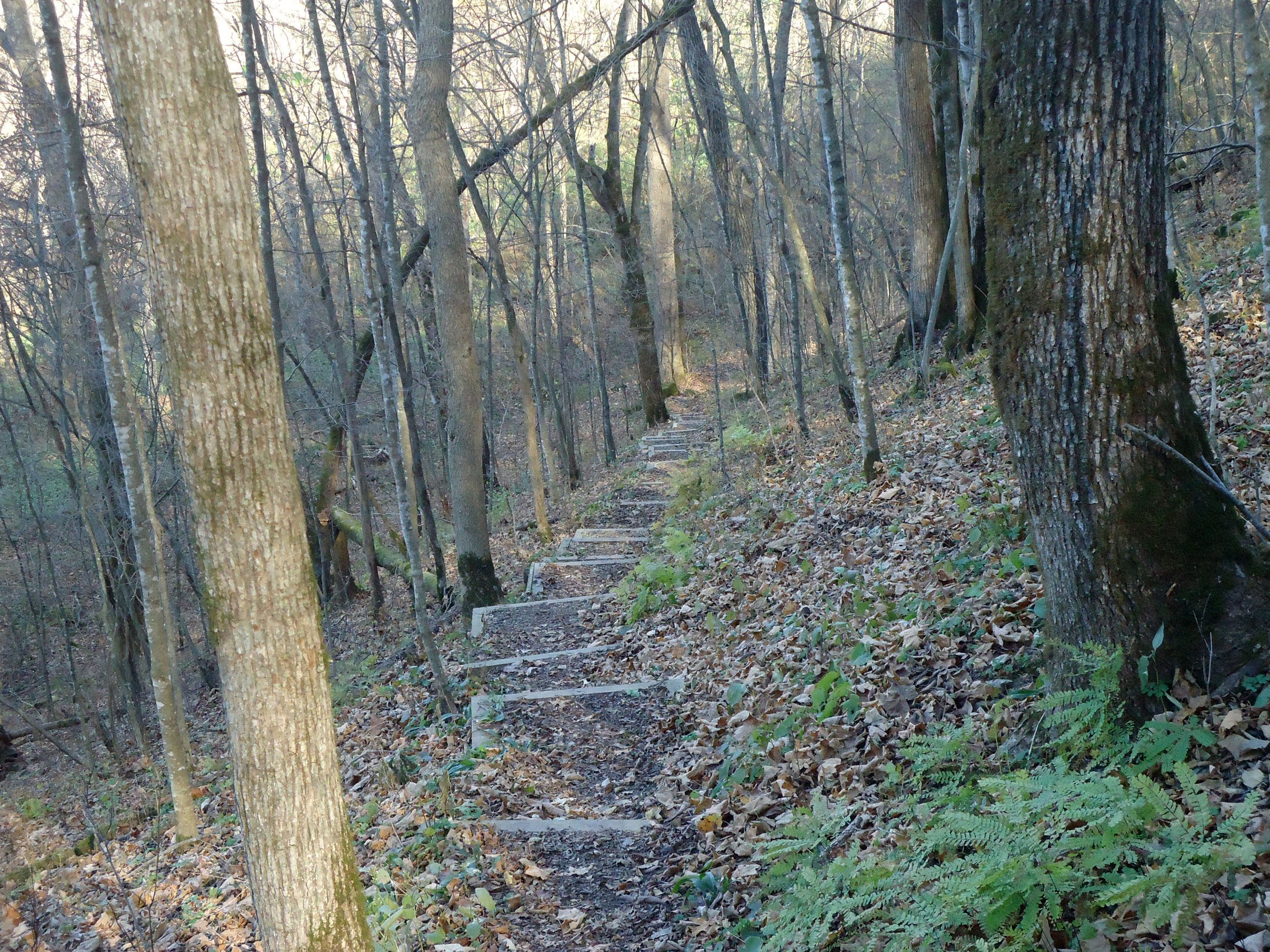 gfp-minnesota-beaver-creek-valley-steps-on-the-trail