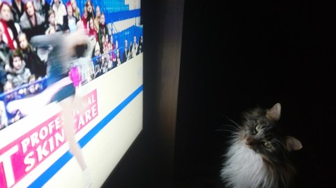 professional-skin-care